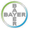 Bayer Teambuilding